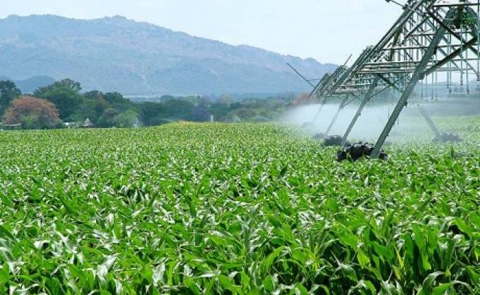 Mise en valeur des périmètres agricoles : une plate-forme numérique pour annoncer les investissements disponibles