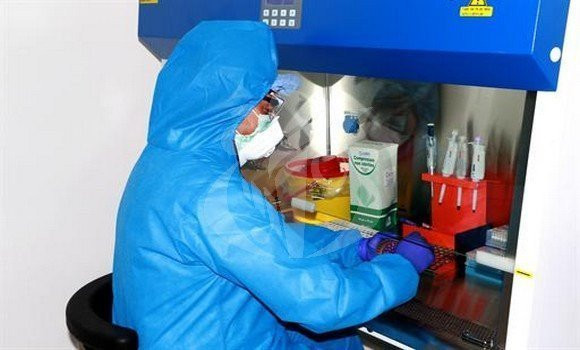 Coronavirus: 14 nouveaux cas et aucun décès ces dernières 24h en Algérie