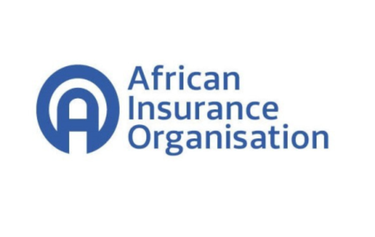 Organisation africaine des assurances : priorité à la coopération et la promotion de l’assurance agricole
