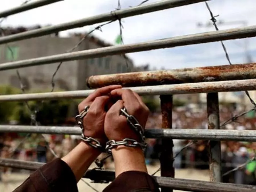 Les prisonniers palestiniens en grève de la faim dans les geôles d’occupation