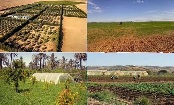 ONTA : lancement d’une plateforme numérique pour les demandes de foncier agricole
