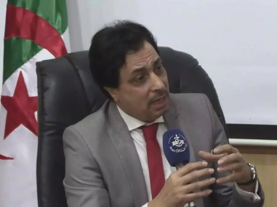 رائد المصري: قمة الجزائر لها أهمية كبيرة في تحقيق التكامل والتوازن بين الدول المصدرة للغاز