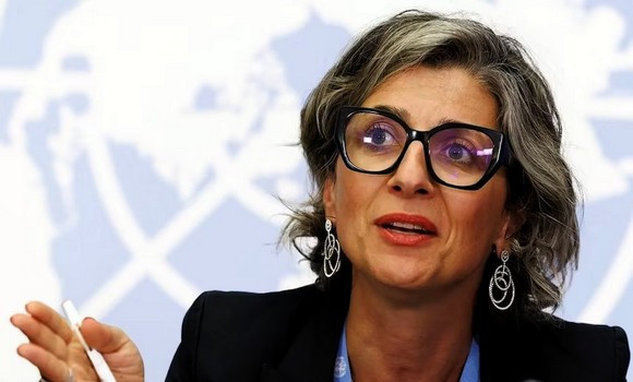 Une rapporteuse de l’ONU exige un embargo sur les armes contre l’entité sioniste