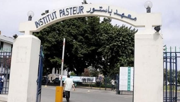 Institut Pasteur Algérie: mise en service prochaine du laboratoire spécialisé dans les urgences virales