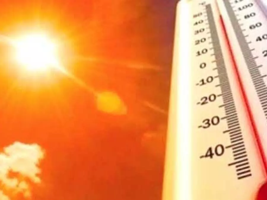 BMS : Canicule sur plusieurs wilayas du pays à partir de dimanche