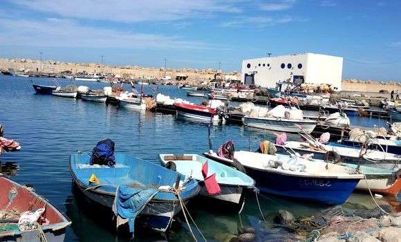 Possibilité de changer l’activité des navires de plaisance en pêche artisanale