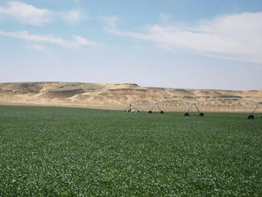 Recensement général de l’agriculture : plus de 230.000 nouvelles exploitations agricoles