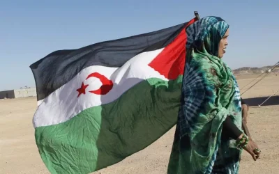 ONU : des documents historiques officiels prouvent que le Sahara occidental et le Maroc sont deux territoires distincts