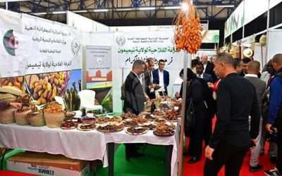 Salon international des dattes: une diversité de variétés au cœur du terroir algérien